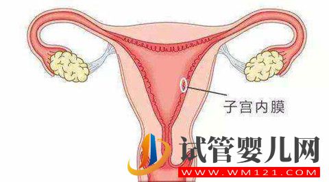 1640762138121976.jpg 影響試管嬰兒成功率因素之的子宮內(nèi)膜容受性因素解析(圖1)