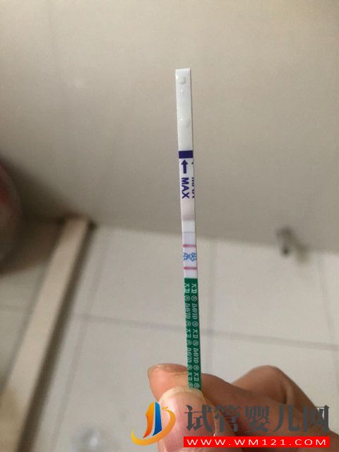 雖然做試管嬰兒會痛還挺貴，但是還有這些優點(圖1)