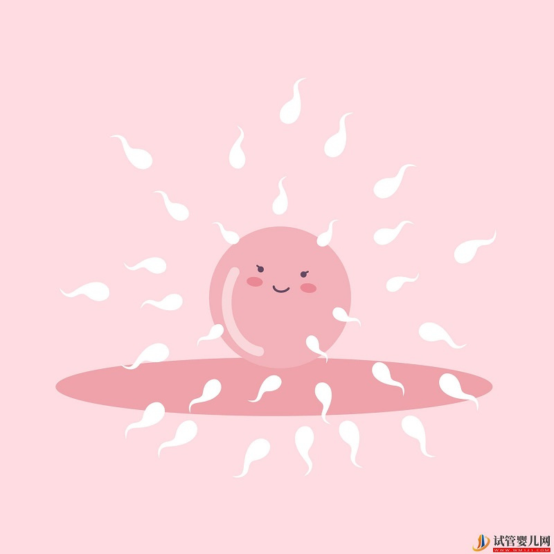 可排卵試紙白板 著床排卵試紙會白板嗎(圖1)