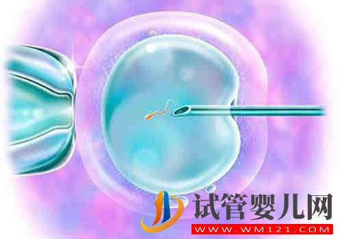 5個月的寶寶用y型奶嘴和圓奶嘴哪個喝奶快？(圖2)