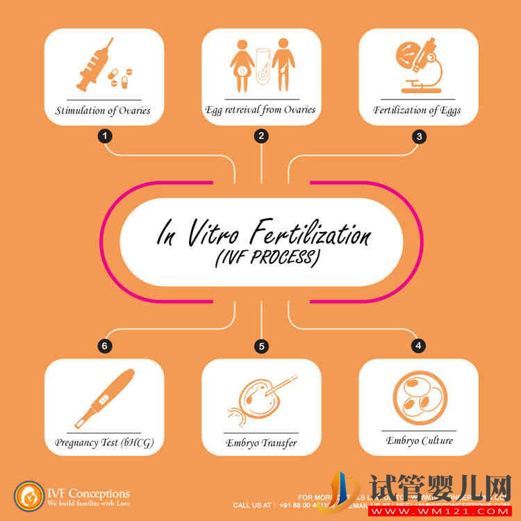 做試管嬰兒需要多少天 通常需要1~3個月(圖1)