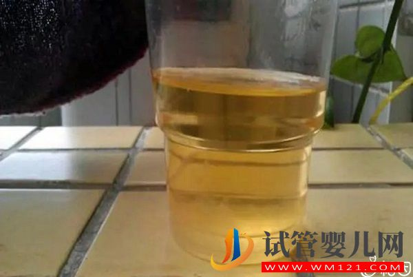 質(zhì)疑安弘胎兒性別測(cè)試杯，從原理分析探討可信度(圖2)