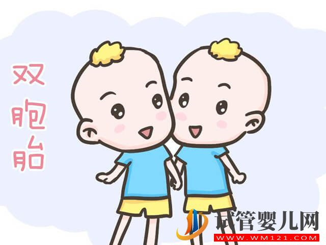 自然受孕的女性是咋懷上雙胞胎的？(圖1)
