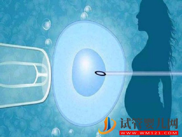 兩個女生怎么生出屬于自己的孩子？(圖2)