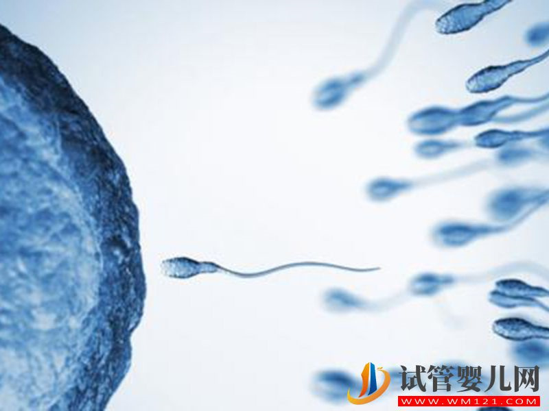 凍卵凍胚不一樣，本質(zhì)區(qū)別在于是否與精子結(jié)合(圖1)