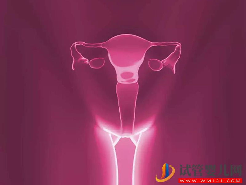 凍卵凍胚不一樣，本質(zhì)區(qū)別在于是否與精子結(jié)合(圖3)