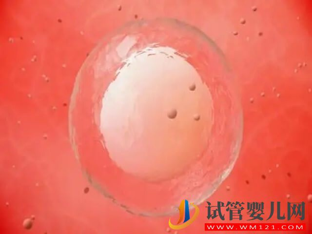 去正規(guī)醫(yī)院卵子庫(kù)購(gòu)買一顆卵子需要多少錢？(圖1)