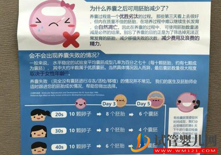 囊胚質(zhì)量認(rèn)定很簡單，通過基礎(chǔ)卵泡數(shù)量就可判斷(圖1)