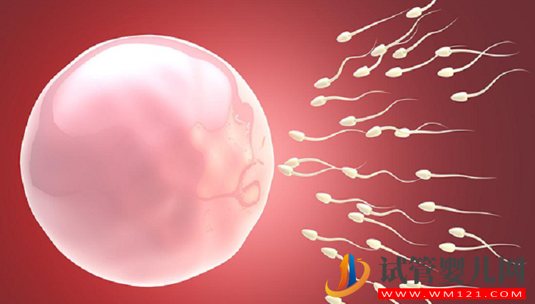 促排藥物的副作用大,選擇自然周期好處多(圖2) 促排藥物的副作用大,選擇自然周期好處多(圖2)