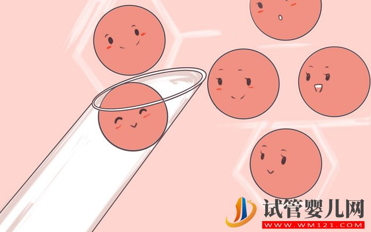 微刺激方案用藥周期最短，取卵后注意事項要牢記(圖1)