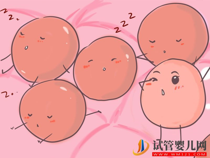 想選擇微刺激方案促排，先看看是不是這3類人群之一(圖2)