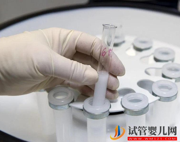 基礎(chǔ)卵泡較少做試管短方案取卵最好取幾個(gè)？(圖1)