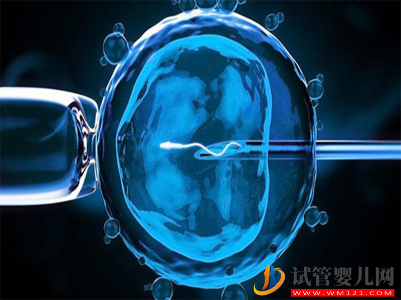 3分鐘帶你看懂俄羅斯試管嬰兒超長方案流程(圖3)