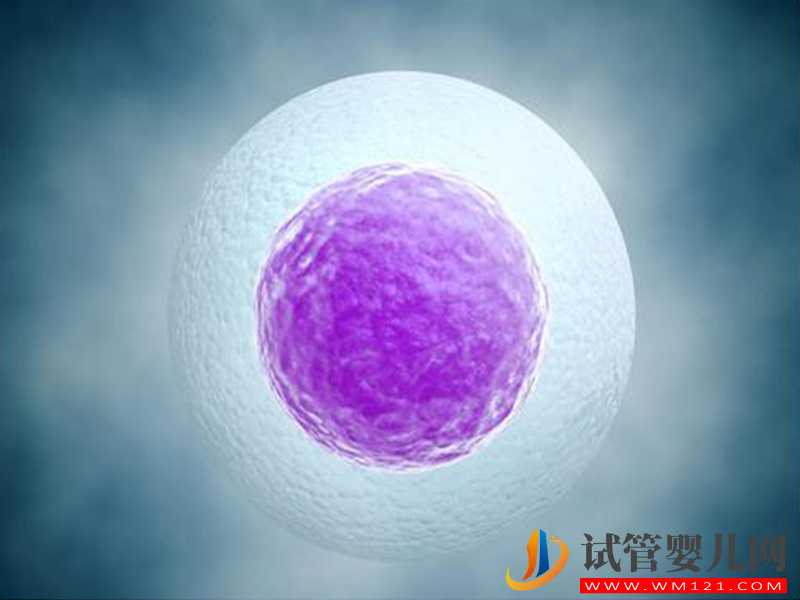 想要試管短方案成功率高,這些經(jīng)驗(yàn)?zāi)愕每纯?圖1) 想要試管短方案成功率高,這些經(jīng)驗(yàn)?zāi)愕每纯?圖1)