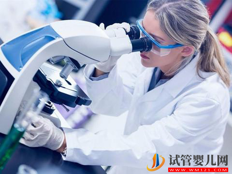 格魯吉亞第三方輔助生殖費用多少錢？需要一次性付清嗎？(圖1)