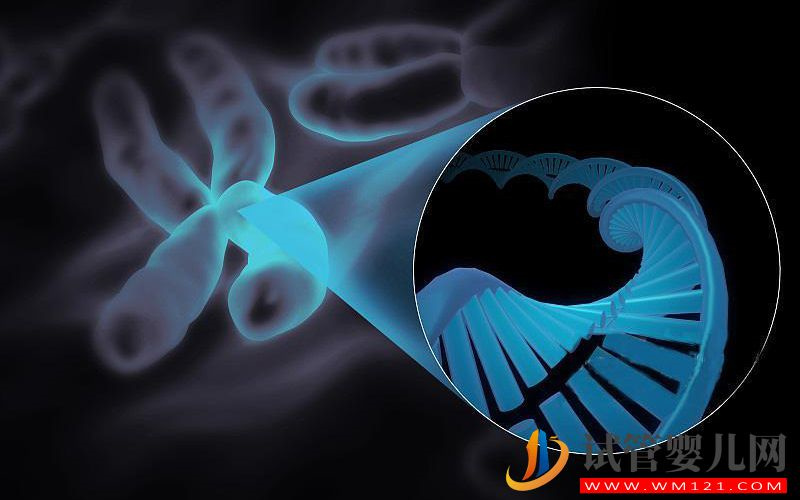 染色體數(shù)量有問題可以做試管助孕嗎?(圖1) 染色體數(shù)量有問題可以做試管助孕嗎?(圖1)