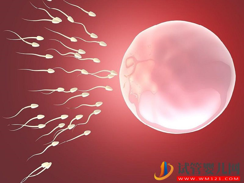 國外第四代試管嬰兒的成功率可以達(dá)到多少？(圖2)