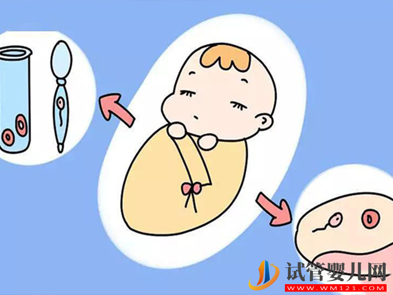 做試管嬰兒血糖值很重要，偏高偏低都會影響試管效果(圖1)