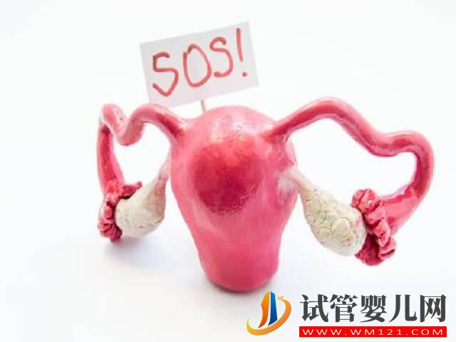 有卵巢沒有子宮的女人可以生自己的孩子嗎？(圖1)