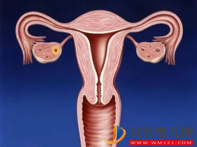 男人弱精還能做試管嬰兒?jiǎn)?圖1) 男人弱精還能做試管嬰兒?jiǎn)?圖1)