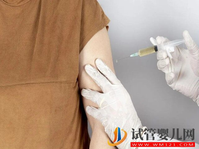 試管取卵前醫生說的“打收針”是什么意思？(圖1)