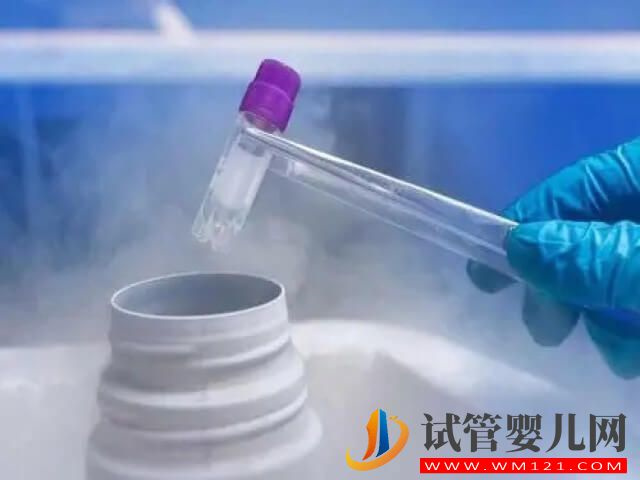 試管剩余的冷凍胚胎可以從醫(yī)院取出來嗎?(圖1) 試管剩余的冷凍胚胎可以從醫(yī)院取出來嗎?(圖1)