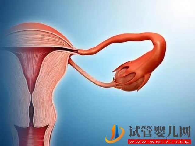 試管促排期間卵泡在漲但雌二醇數值不高怎么回事？(圖2)