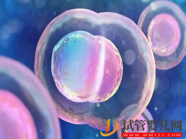 卵泡發(fā)育慢做試管嬰兒用什么促排卵方案好？(圖1)