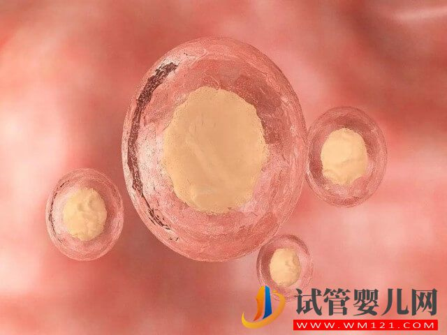 試管促排前B超顯示只有9個基礎(chǔ)卵泡最終能取幾個？(圖2)