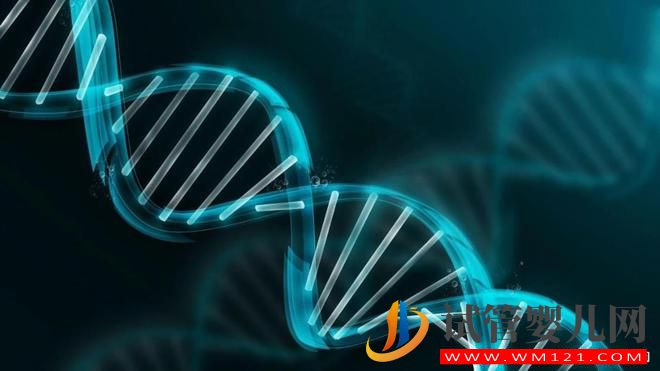 第三代試管嬰兒技術核心“PGT”(圖3)