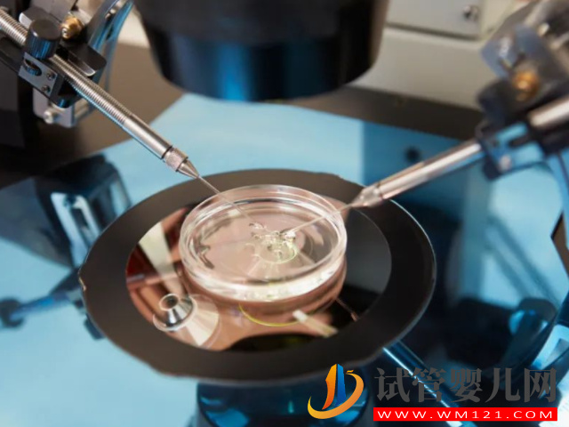 國內正規(guī)醫(yī)院第三方供卵試管全流程，簡單五步驟只需25天(圖2)