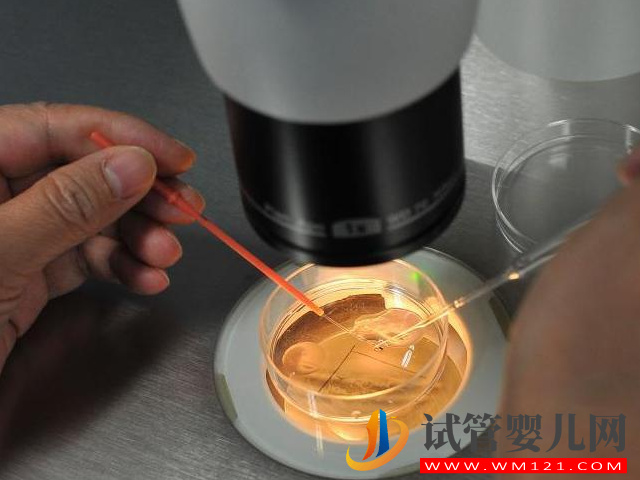 國內正規(guī)醫(yī)院第三方供卵試管全流程，簡單五步驟只需25天(圖4)