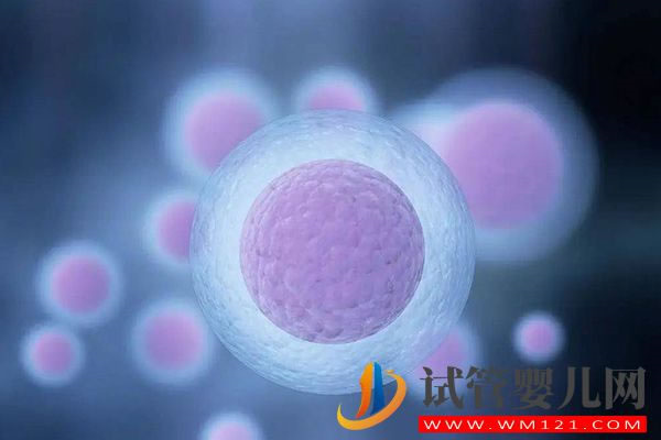 別糾結試管卵泡長得快好還是慢好，弄清原因才是關鍵(圖2)