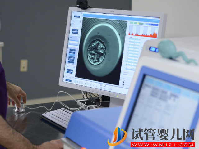 胚胎移植后的“黃金48小時”，把握好這5點讓成功率翻倍不是夢(圖1)