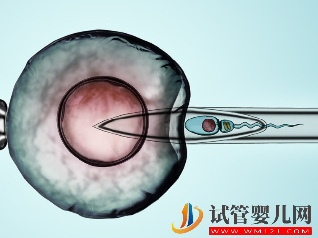 泰國試管移植回國后的注意事項盤點,做好這4件事成功率才高(圖1) 泰國試管移植回國后的注意事項盤點,做好這4件事成功率才高(圖1)