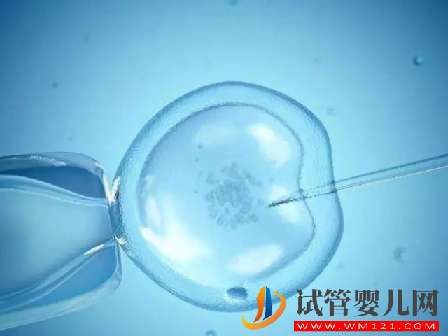 泰國十大正規(guī)試管醫(yī)院排名分享，尋找適合自己的醫(yī)院(圖1)