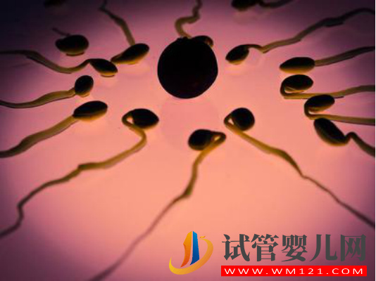 做試管基礎卵泡少怎么辦？(圖1)