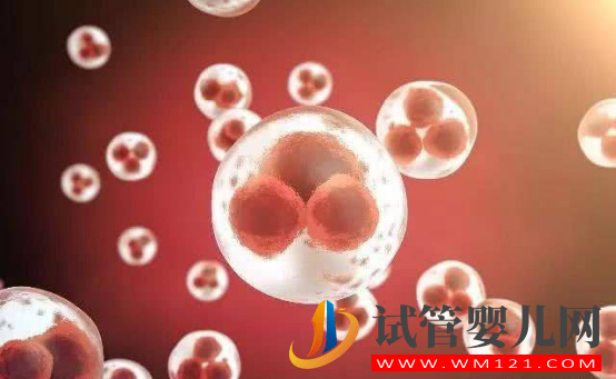 做試管養(yǎng)囊是什么意思(圖1)
