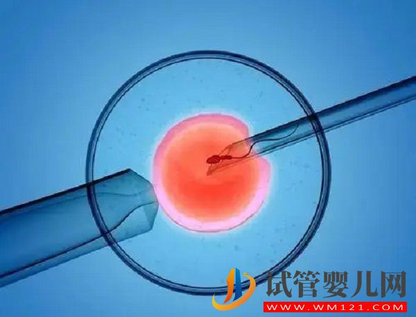 蘭州940醫(yī)院試管嬰兒費用表(圖2) 蘭州940醫(yī)院試管嬰兒費用表(圖2)