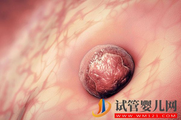 別問移植凍胚成功關鍵在第幾天，第二天著床才最關鍵(圖2)