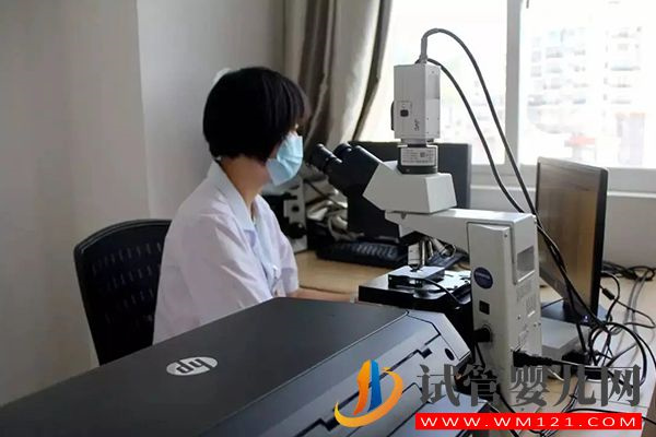 人工受孕精子挑選方法有2種，可直接打到宮頸進(jìn)行助孕(圖1)