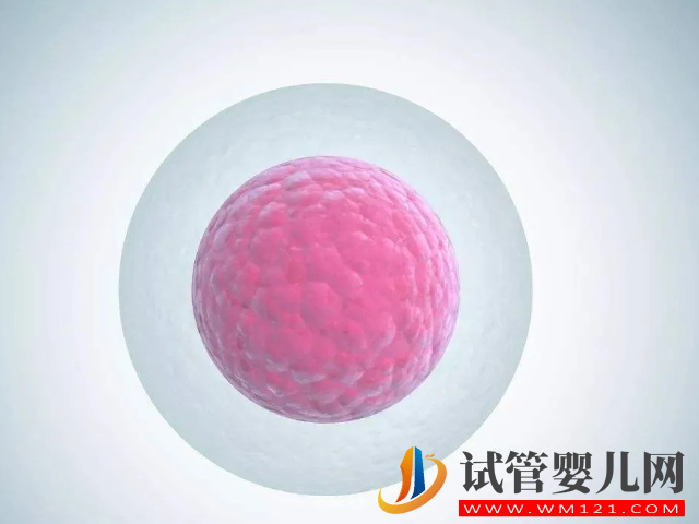 子宮畸形做試管成功率分析，不適合做花多少錢都白搭！(圖2)