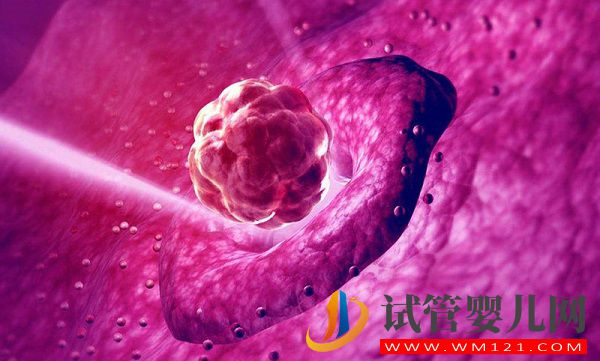 不了解的快進來看看！福州試管嬰兒費用三家醫院各不同(圖3)