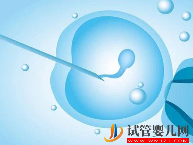 les在國外做試管生孩子需要哪些流程？(圖1)