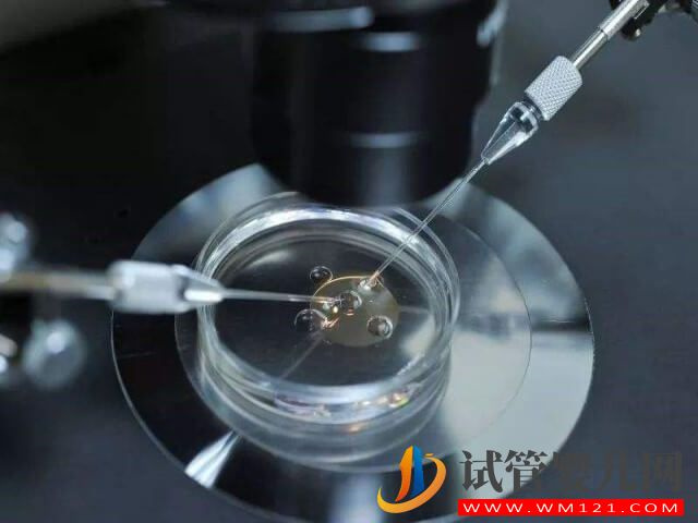 三代試管【冷凍卵子,除了錢,還需要什么條件?】(圖1) 進(jìn)行洗精術(shù)之前需要先確定精子的活力嗎?(圖1)