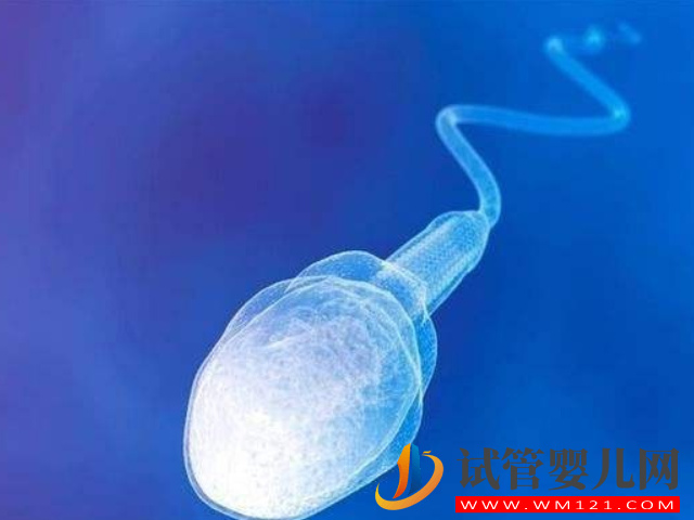 泰國的hiv精子洗滌技術(shù)是什么?(圖1) 泰國的hiv精子洗滌技術(shù)是什么?(圖1)