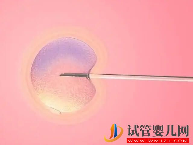 在鄭州申請供卵試管技術助孕大概要等多久？(圖1)