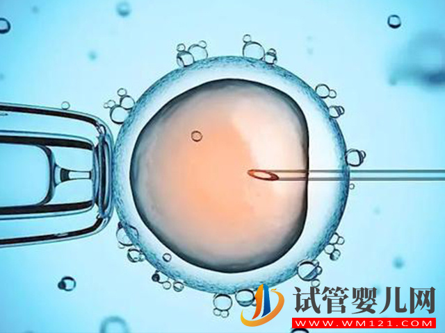 衡水衛校試管嬰兒技術成功率真的很高嗎？(圖1)