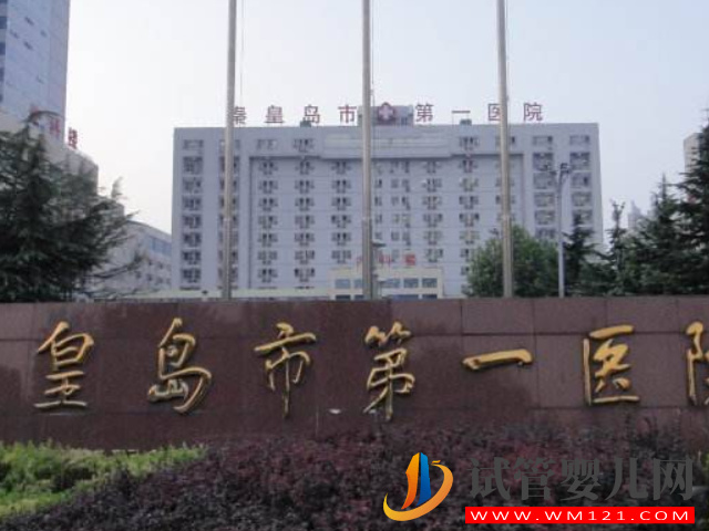 秦皇島市婦幼保健院是秦皇島最好的試管醫(yī)院嗎？(圖2)