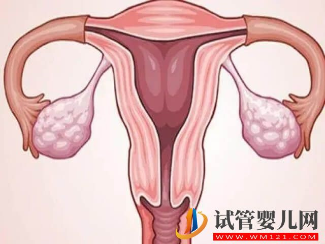 40歲女性在唐山做試管的成功率最高能達多少？(圖2)